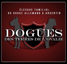 Des Dogues Des Terres De L'ovalie